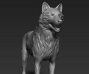Wolf