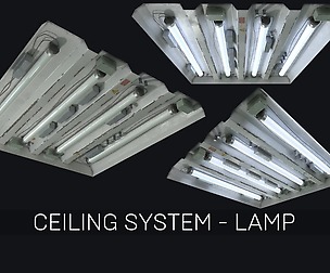 Ceiling System