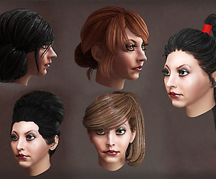 Female hair (high hairstyle) poligonal 10 species
