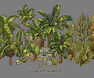Small Desert Menagerie