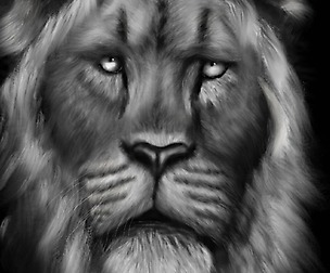 Black and white animals