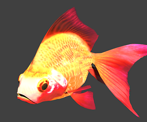 Goldfish