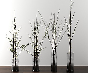 dry plants in glass vases