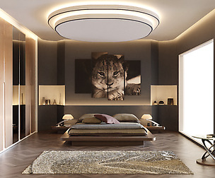 Lion Cub Bedroom (.fbx - .obj - .blend)