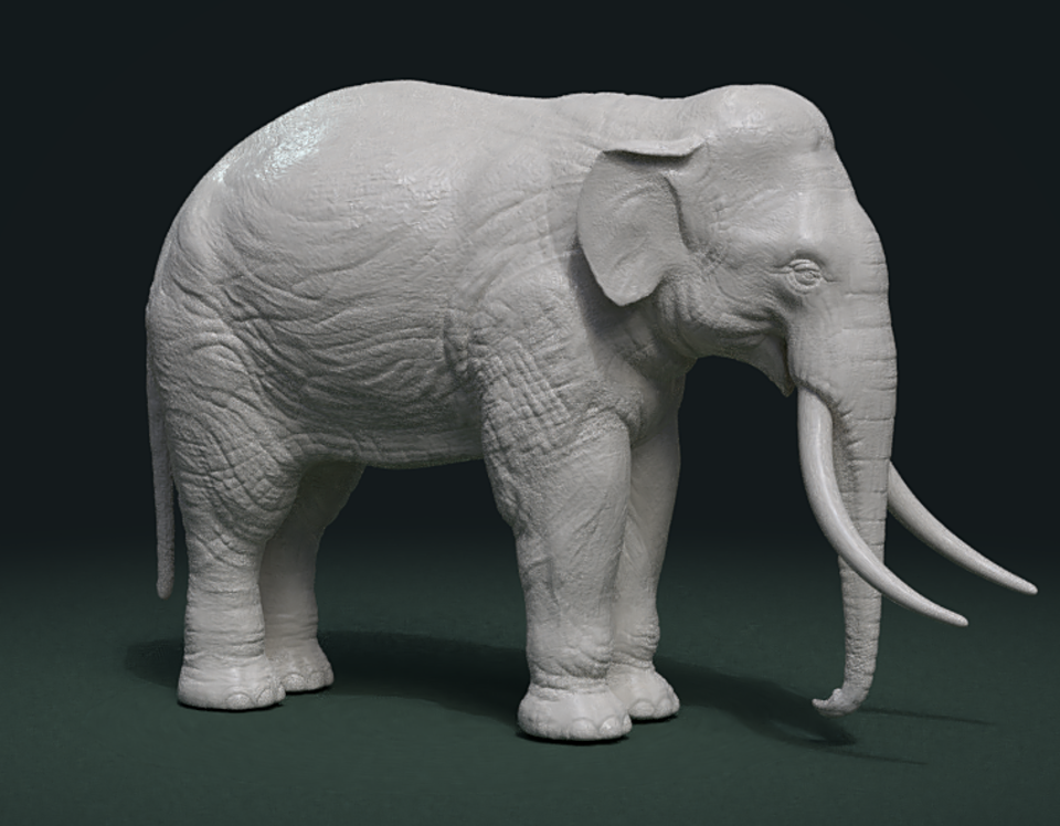 Голова дракона 3д. Лошадь 3d. Доберман stl. Fbx to stl. Вольф 3д.