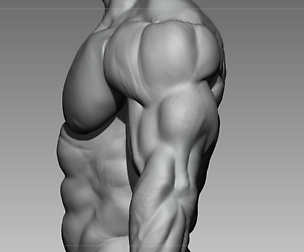 bodybuilder 4
