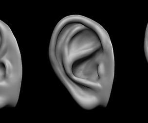 FREE sample of EARS (high and low poly 3D model)