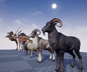 Mammals and Birds UE4