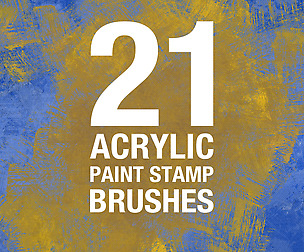 21x Acrylic Paint Stamp Brushes