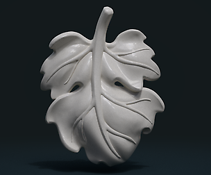 Fig Leaf