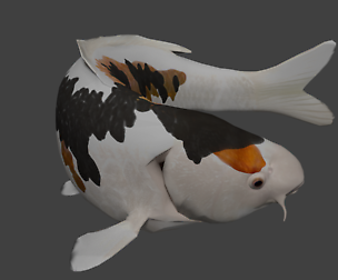 Koi
