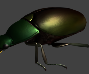 Gold Beetle