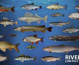 River fish Low-poly 3D model