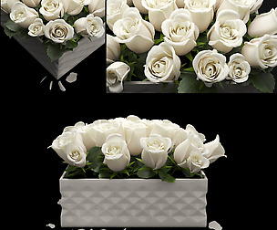 white flowerbox