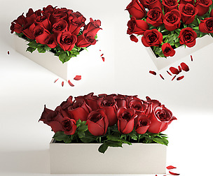 red flowerbox