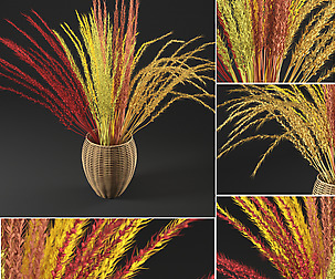 dry decorative plant