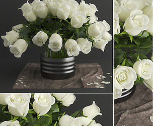 white rose