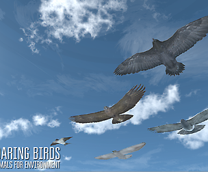 Soaring birds - animals for environment