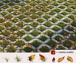 Grass in the square brick