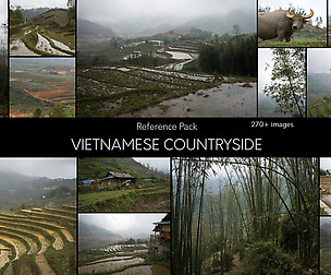 Vietnamese Countryside - Reference Pack