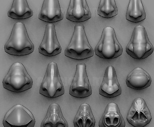 20 Noses with high poly and low poly