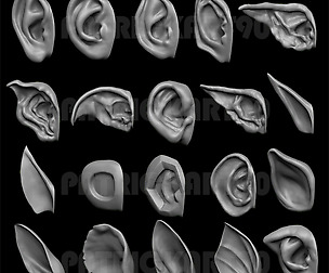 20 EARS (high poly and low poly 3D model)