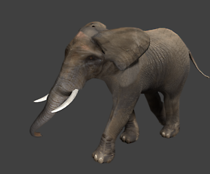 Elephant