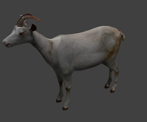 Goat