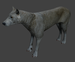 Wolf