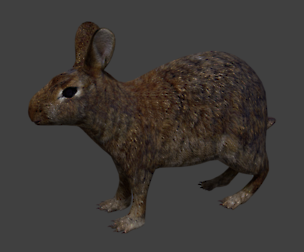 Rabbit
