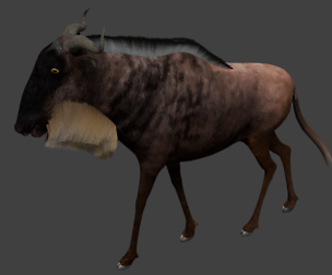 Wildebeest