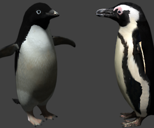 Penguin