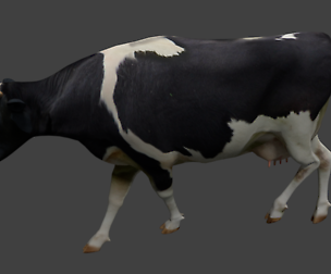 Cattle