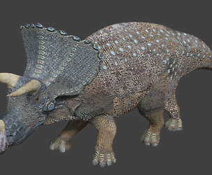Triceratops