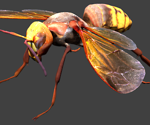 Hornet