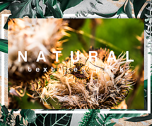 download textures photoshop, 30 Nature