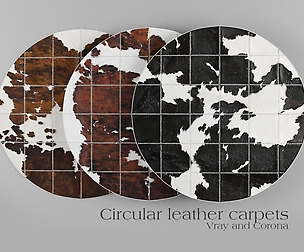 Carpet Pack 1 _ Circular Leather Carpets.