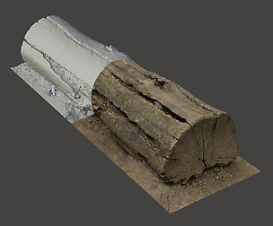 Tree Stump #3 - 3D Scan