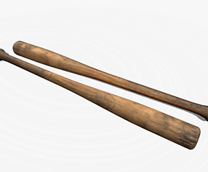 Baseball Bat