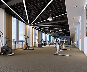 Gym 006