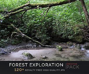 Forest Exploration CREATIVE PACK