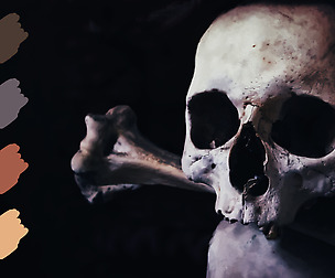 Skull Swatches