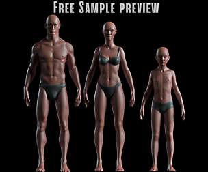 Realistic Human Basemesh - Sample Preview Complete