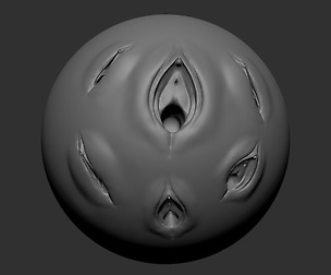 Female Vaginal And Anal Brush anatomy for Zbrush