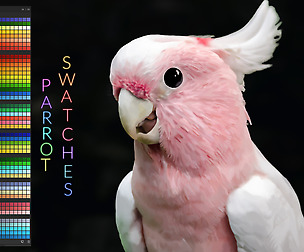 Parrot Swatches