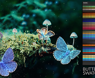 Butterfly Swatches