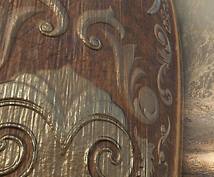 Paladin Shield