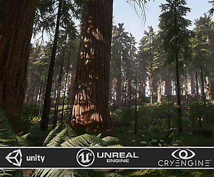 Redwood Forest for Game Ready