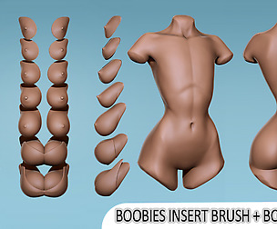 Boobies insert brush