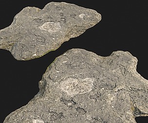 rauk stone scan G